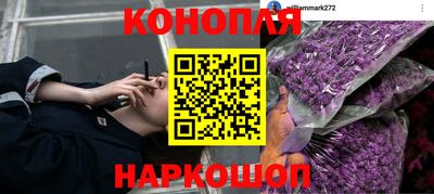 ALPHA PVP Гусев