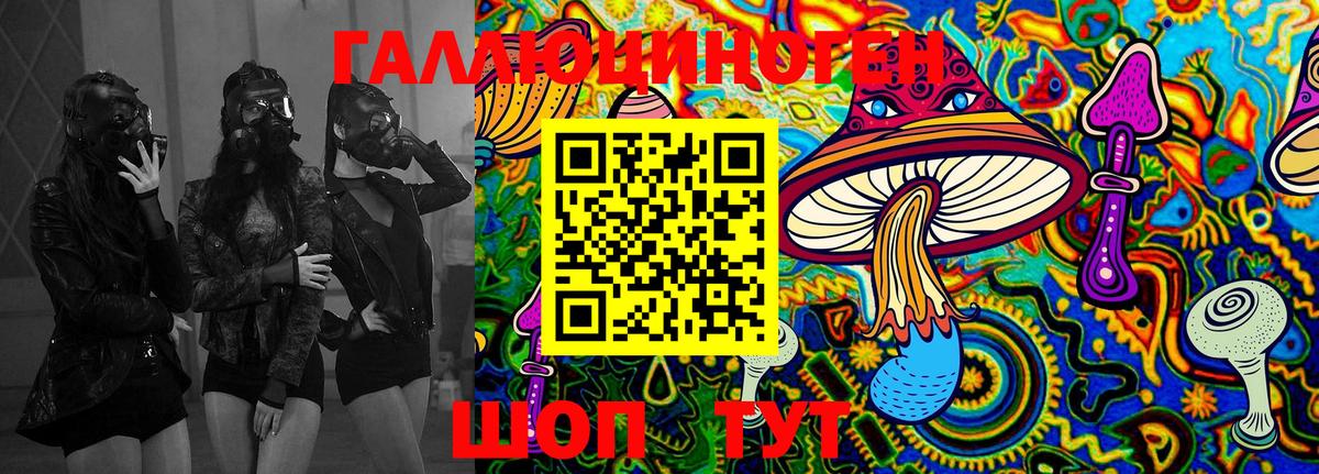 Зеленокумск  Галлюциногенные грибы Psilocybine cubensis  Вход с VPN  Галлюциногенные грибы мухоморы 